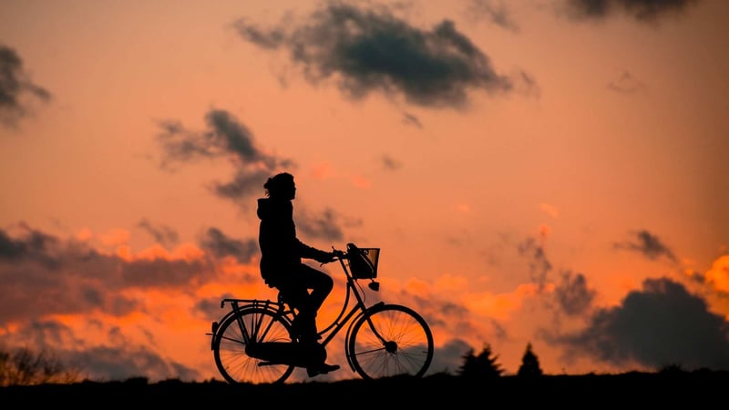Sunset Wellness Woman Exercise